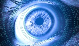 在线接单黑客服务全解析：合法平台选择、风险防范与未来趋势