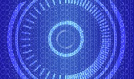 接单的黑客：揭秘网络雇佣兵的服务内幕与法律风险，助你全面防范数字威胁