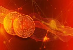 普通黑客一个月收入揭秘：从入门到月入10万+的合法赚钱路径