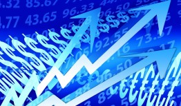 网络平台上当受骗怎么办？立即应对追回损失，避免二次伤害的完整指南