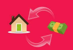 开局成为世界顶级黑客：从零到精通的完整成长指南，轻松掌握网络安全核心技能