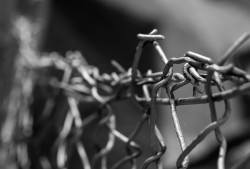 100%必破qq密码软件真相揭秘：安全风险与法律后果全解析