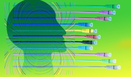 怎么从0开始学黑客 入门教程：从零基础到实战高手的完整学习指南