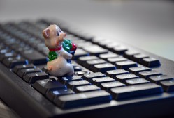 什么平台可以自己接单？2024年自由职业者高效接单平台推荐与避坑指南