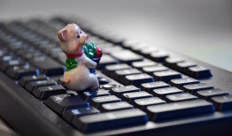 什么平台可以自己接单？2024年自由职业者高效接单平台推荐与避坑指南